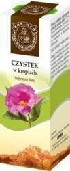 Czystek w kroplach